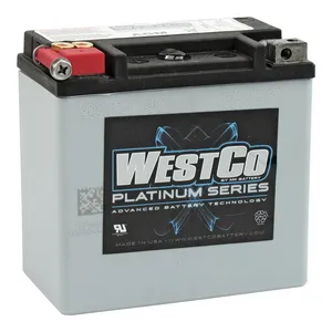 WestCo Westco, sealed AGM battery. 12V, 12Ah, 220CCA