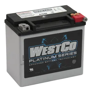 WestCo Westco, sealed AGM battery. 12 Volt, 19Ah, 325 CCA