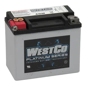 WestCo Westco, sealed AGM battery. 12 Volt, 10AMP, 180CCA
