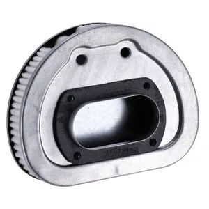 OEM OEM air filter element