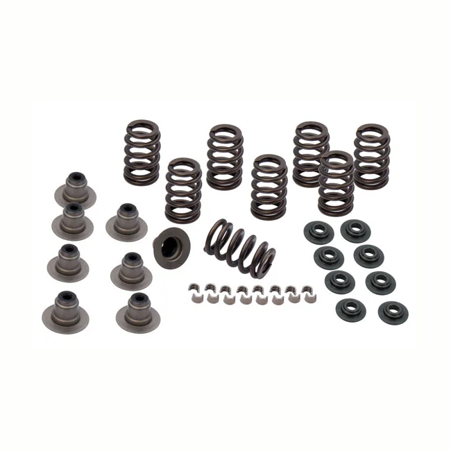 S&S SPRING KIT.605 M8 17-19