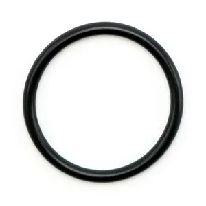 James Gaskets James, o-ring alternator cover cap