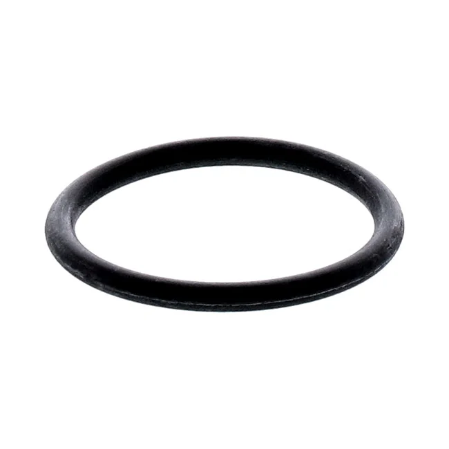 MCS O-ring, engine oil filler plug / dipstick - 569023
