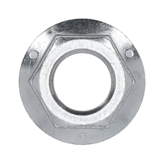 MCS Nut, pivot shaft swingarm - 572338