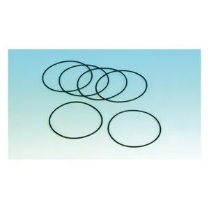 James Gaskets James, O-ring turn signal lens