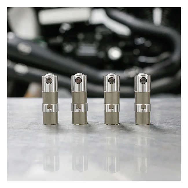 S&S TAPPETS PRECISION HYD SET