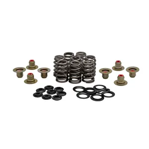 Kibblewhite KPMI, .550" high lift valve spring kit. Steel