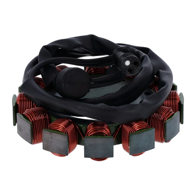Cycle Electric Electric, Alternator stator unmolded