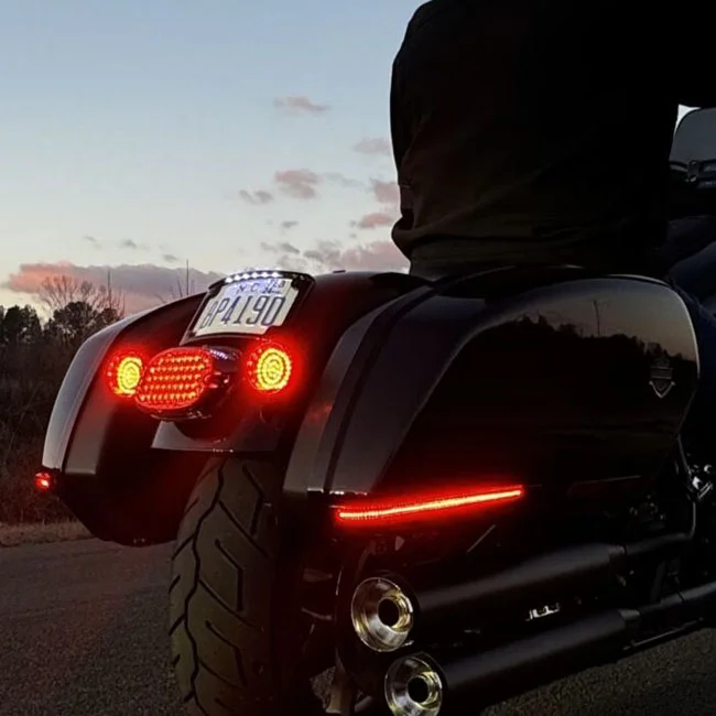 Custom Dynamics Dynamics, LED Saddlebag Lights. Red