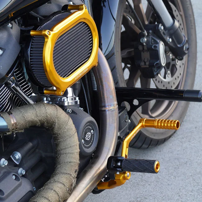 Arlen Ness FOOTPEGS REAR - SOFTAIL M8 - D