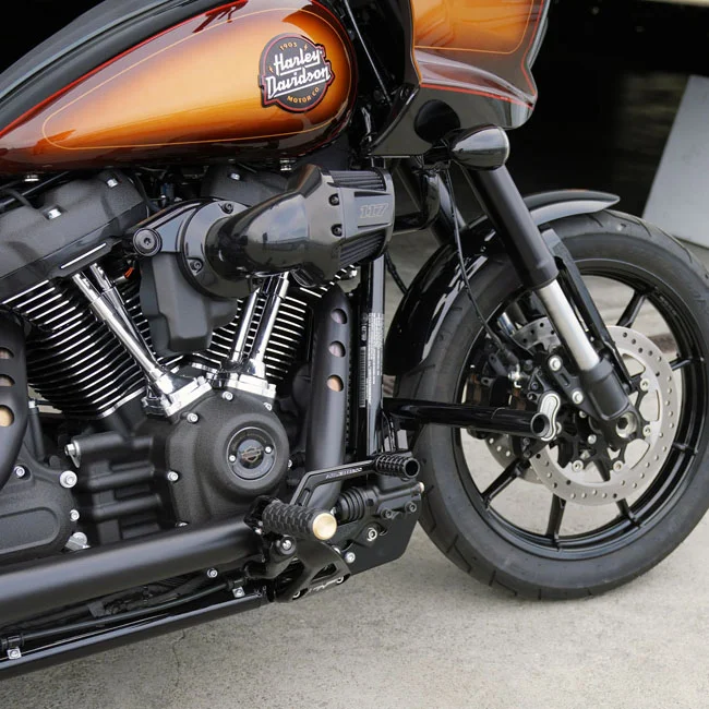 Arlen Ness Ness, Speedliner Brake Arm. Black