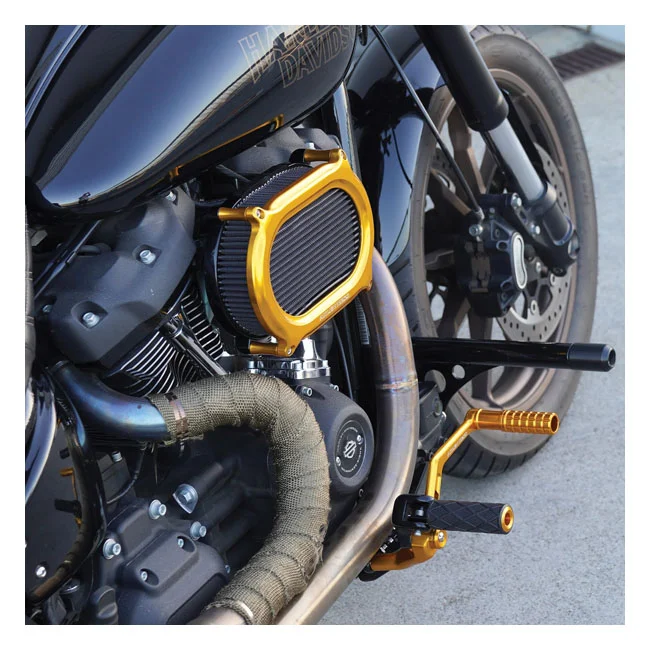 Arlen Ness Ness, Stage II Oval Upgrade air cleaner kit. Gold