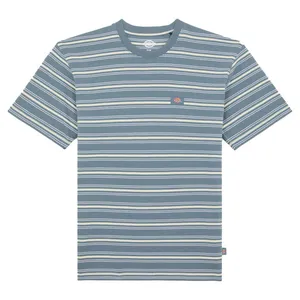 Dickies Dickies Lewistown Stripe t-shirt stormy weather
