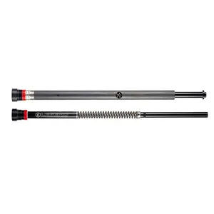 Legend Air Suspension Legend, 43mm Axeo inverted fork cartridge set
