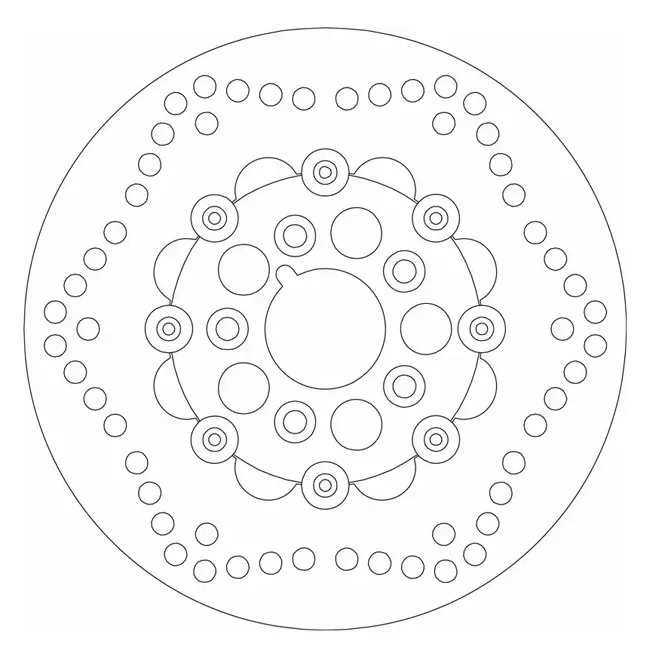 SBS ''10-Spoke B Floater'' brake rotor 254mm. Front - 41813-79