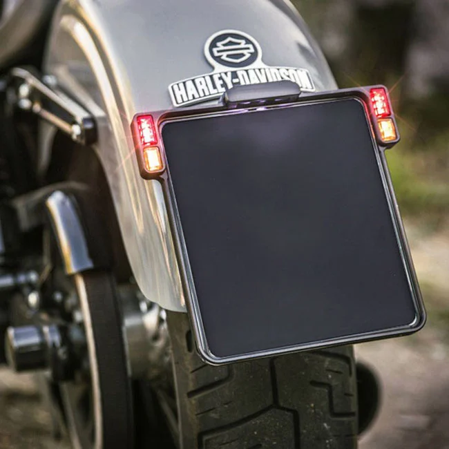 HeinzBikes All-Inn 2.0 license plate bracket with taillight