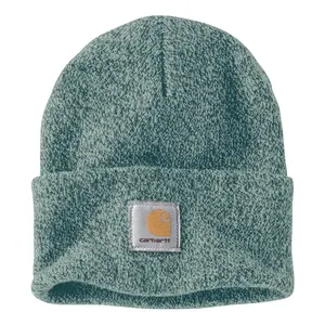 Carhartt Carhartt Watch hat reenstone/seabrook