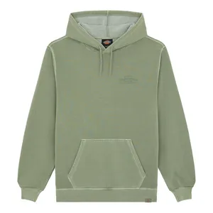 Dickies Dickies Christiana Gd hoodie sea spray