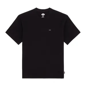 Dickies Dickies Clancy Heavyweight t-shirt black