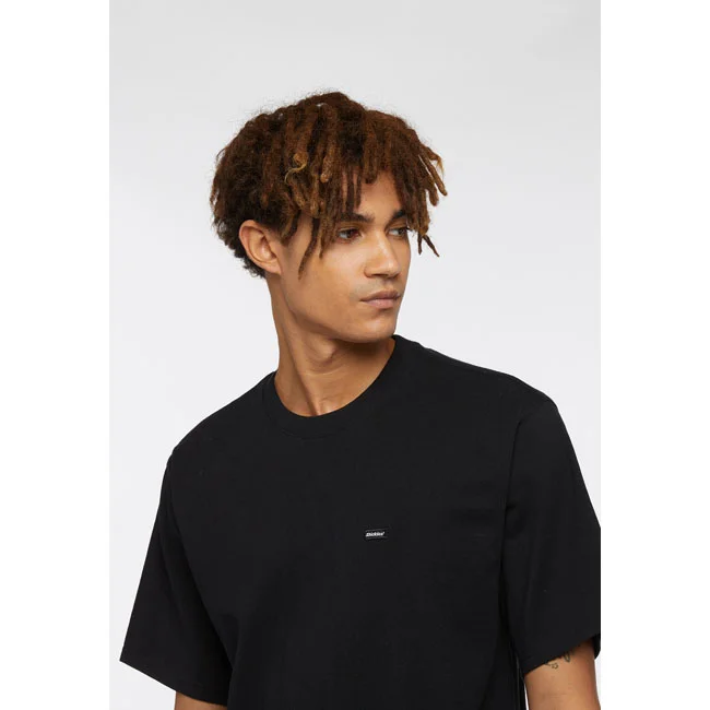 Dickies Clancy Heavyweight t-shirt black