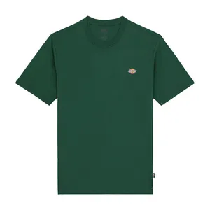 Dickies Dickies Ss Mapleton t-shirt pine needle green