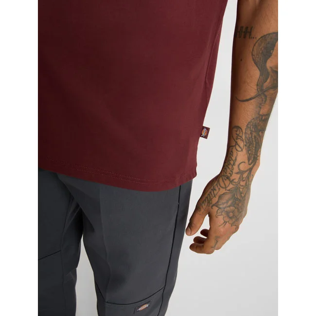 Dickies Mapleton t-shirt andorra