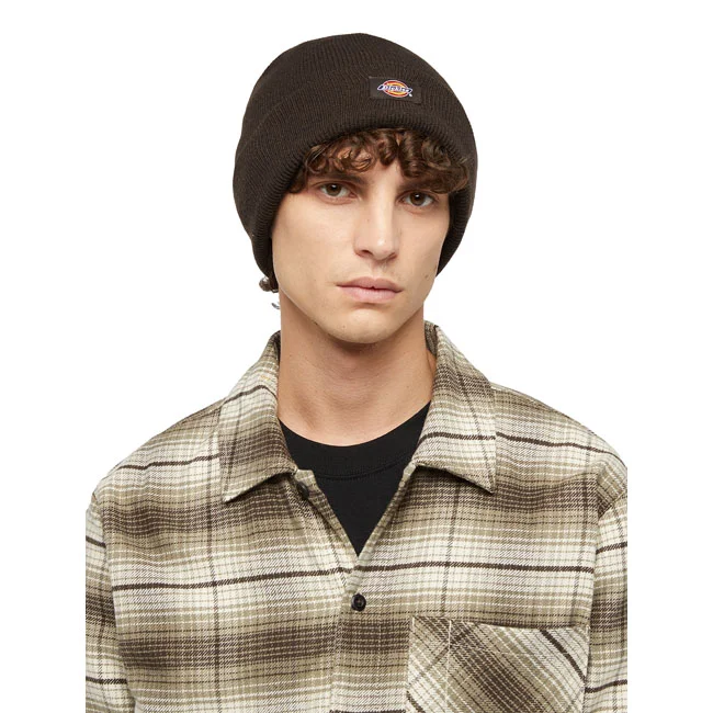 Dickies Gibsland beanie dark brown