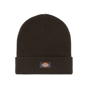 Dickies Dickies Gibsland beanie dark brown