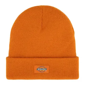 Dickies Dickies Gibsland beanie autumn maple