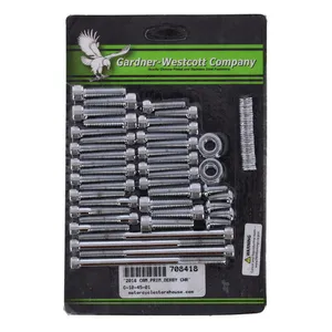 Gardner-Westcott GW, cam/transm./primary side cover mount kit. Chrome Allen