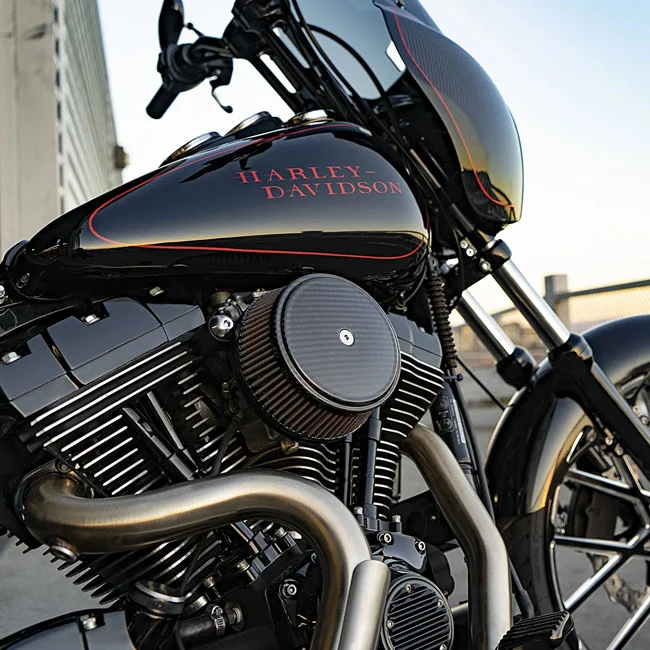 Arlen Ness Ness, Stage 1 Big Sucker air cleaner. Carbon