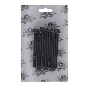 Screws4Bikes Screws4Bikes, crankcase bolt kit. Titan 2Drive. Black