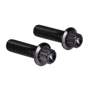 Screws4Bikes Screws4Bikes, bolt kit, brake caliper front (K1). Black