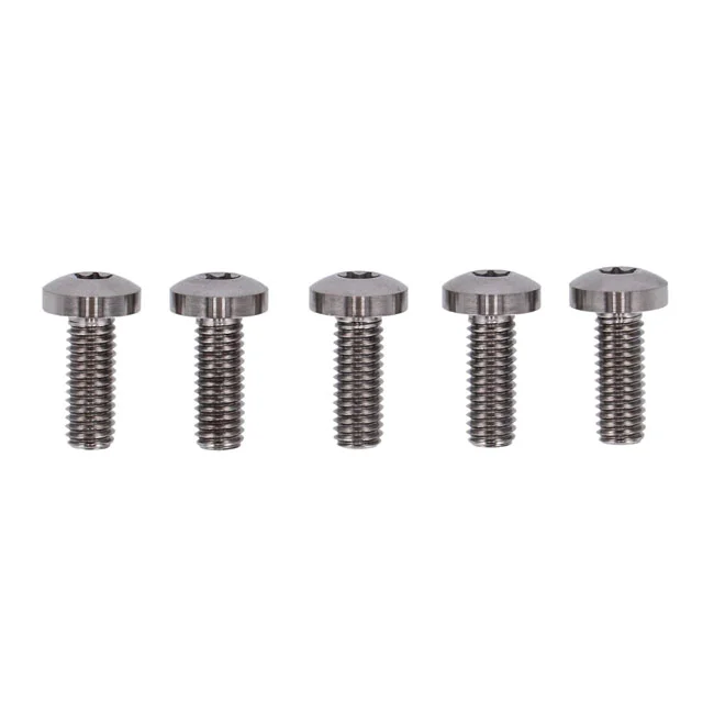 Screws4Bikes Bolt kit, brake rotor discs rear (TITAN)