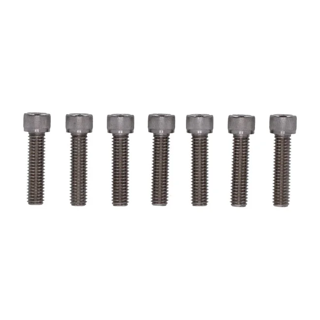 Screws4Bikes Bolt kit, 6x front fork brackets SH