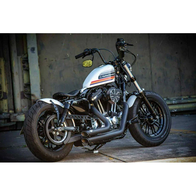 Rick's Motorcycles Motorcycles, belt cover Round holes. Gloss black