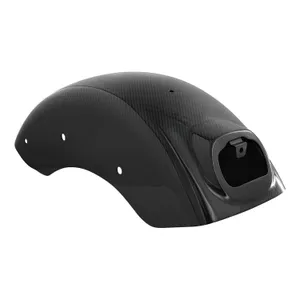 Arlen Ness Arlen Ness, rear fender. Carbon