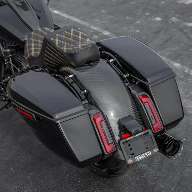 Arlen Ness Rear fender. Factory lighting. Carbon