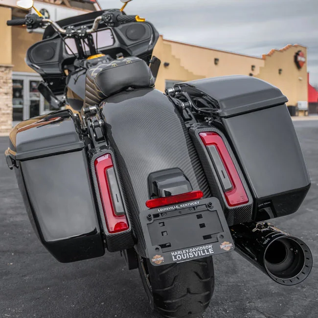 Arlen Ness Rear fender. Factory lighting. Carbon