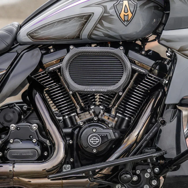 Arlen Ness Stage 2 Oval air cleaner kit. Carbon