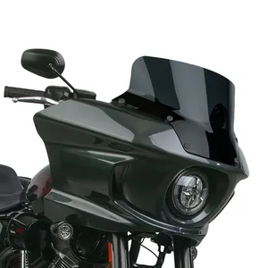 National Cycle National Cycle, VStream® replacement screen. Low