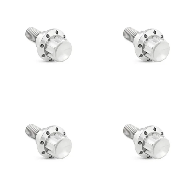 Arlen Ness BOLT KIT TITANIUM - FLTR 23-25