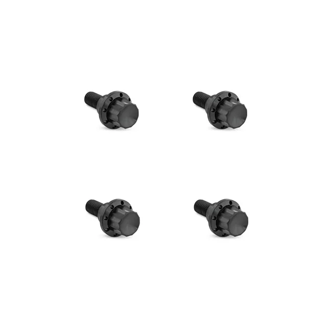 Arlen Ness BOLT KIT TITANIUM - FLTR 23-25