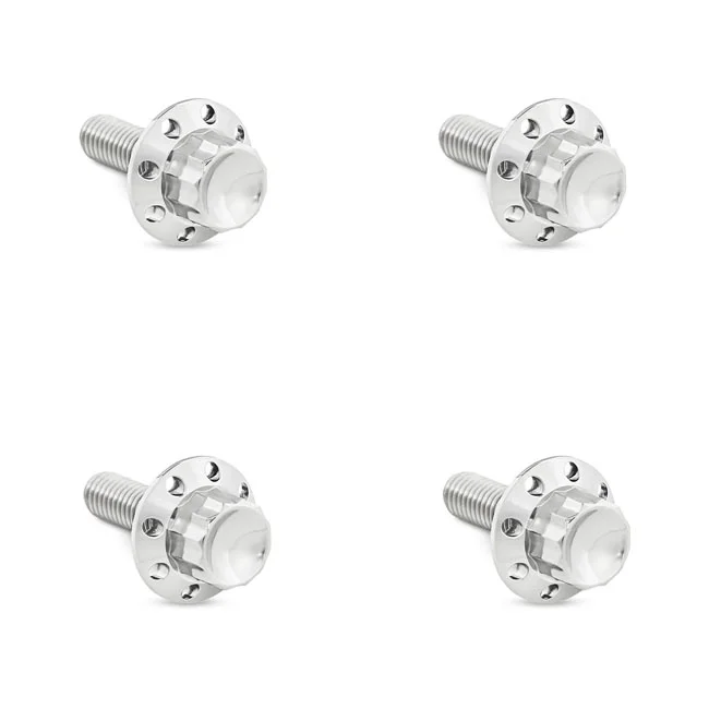 Arlen Ness BOLT KIT TITANIUM - FLHX 24-25