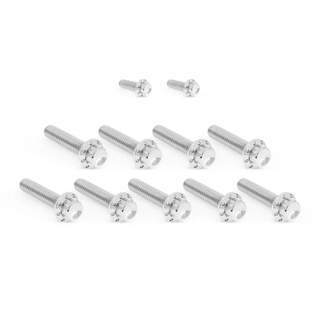 Arlen Ness BOLT KIT TITANIUM - FLT 17-23