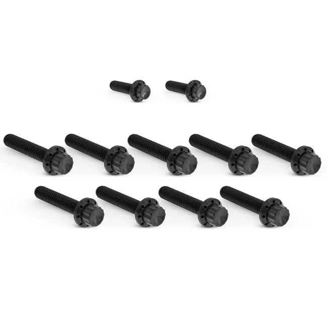 Arlen Ness BOLT KIT TITANIUM - FLT 17-23