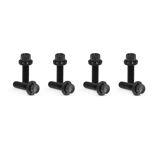 Arlen Ness BOLT KIT TITANIUM - TC & M8 -