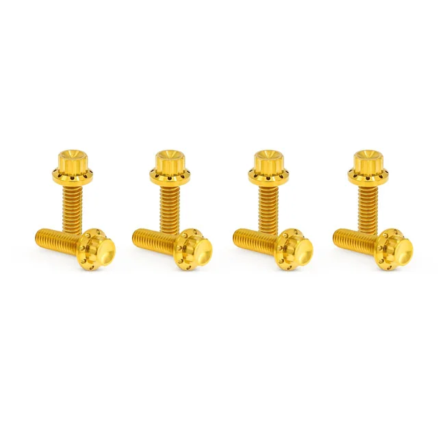 Arlen Ness BOLT KIT TITANIUM - TC & M8 -