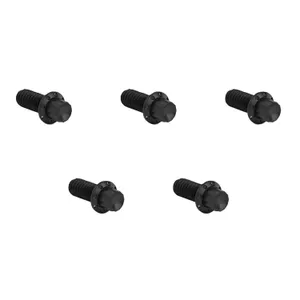 Arlen Ness Arlen Ness, titanium 12-point derby cover bolt kit. Black
