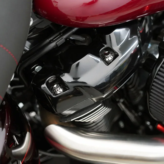 Arlen Ness BOLT KIT TITANIUM - M8 17-UP -